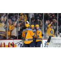 Toledo Walleye gather after a goal in front of the home fans