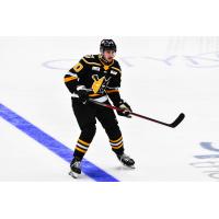 Wheeling Nailers forward Dillon Hamaliuk