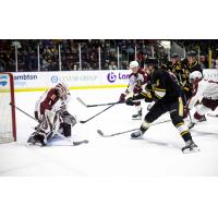 Peterborough Petes' Liam Sztuska and Sarnia Sting's Owen MacDonald in action