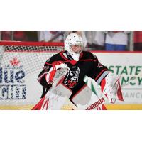 Adirondack Thunder goaltender Vinnie Purpura