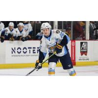 Brandon Hawkins of the Toledo Walleye