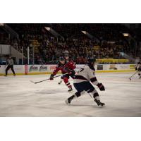 Kitchener Rangers' Hunter Brzustewicz and Saginaw Spirit's James Guo in action