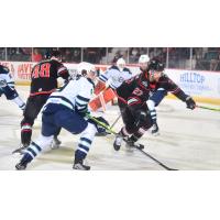 Adirondack Thunder's Travis Broughman in action