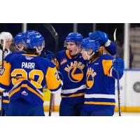 Saskatoon Blades celebrate win