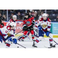 Kelowna Rockets' Luke Schelter and Edmonton Oil Kings' John Szabo, Blake Fiddler, and Marc Lajoie on the ice