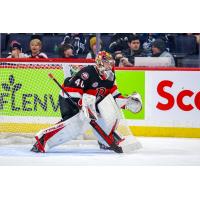 Belleville Senators goaltender Mads Sogaard