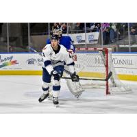 Worcester Railers' Anthony Callin in action