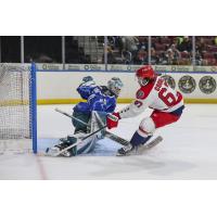 Wichita Thunder's Georgi Romanov versus Allen Americans' Hank Crone