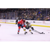 Springfield Thunderbirds defenseman Wyatt Kalynuk (left) vs. the Providence Bruins