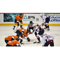 South Carolina Stingrays face off with the Greenville Swamp Rabbits