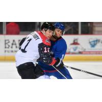 Adirondack Thunder battle the Trois-Rivieres Lions