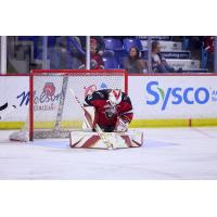 Vancouver Giants goaltender Brett Mirwald