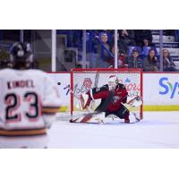 Vancouver Giants goaltender Brett Mirwald