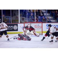 Vancouver Giants goaltender Brett Mirwald