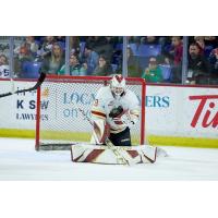 Vancouver Giants goaltender Brett Mirwald