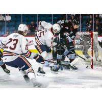 Forward Connor Levis with the Kamloops Blazers