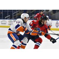 Bridgeport Islanders' Ruslan Iskhakov and Springfield Thunderbirds' Adam Gaudette in action