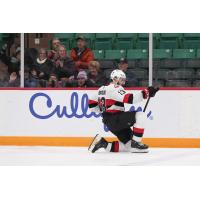 Belleville Senators' Egor Sokolov on game night