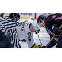 Adirondack Thunder's Ryan Wheeler versus Newfoundland Growlers' Tate Singleton