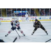 Springfield Thunderbirds forward Jakub Vrana (left) vs. the Hershey Bears