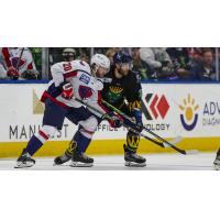 South Carolina Stingrays' Tyson Empey and Jacksonville Icemen's Connor Russell in action