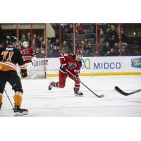 Rapid City Rush's Maurizio Colella in action