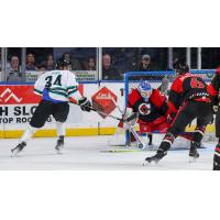 Wichita Thunder forward Jason Pineo eyes the goal against the Cincinnati Cyclones