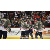 South Carolina Stingrays celebrate win