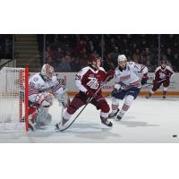 Peterborough Petes' Braydon McCallum versus Oshawa Generals' Noah Bender and Ben Danford