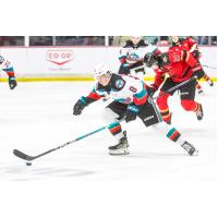 Kelowna Rockets' Marek Rocak in action