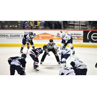 South Carolina Stingrays face off with the Jacksonville Icemen