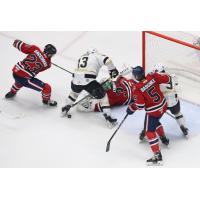 Wheeling Nailers forward Matthew Quercia looks for a shot