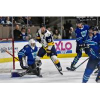 Worcester Railers goaltender John Muse in his IceCats jersey