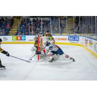 Springfield Thunderbirds battle the Wilkes-Barre/Scranton Penguins