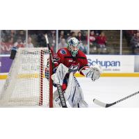 Kalamazoo Wings goaltender Jonathan Lemieux