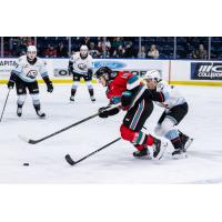 Kelowna Rockets' Luke Schelter in action