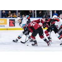 Kelowna Rockets battle the Vancouver Giants