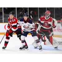 Saginaw Spirit left wing Josh Bloom vs. the Ottawa 67's