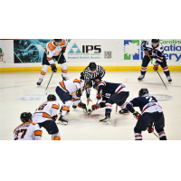 South Carolina Stingrays battle the Greenville Swamp Rabbits