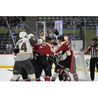 Tucson Roadrunners battle the Henderson Silver Knights