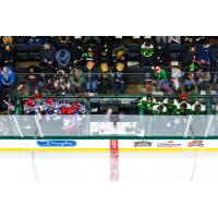 Penalty boxes are full as the Kitchener Rangers battle the London Knights