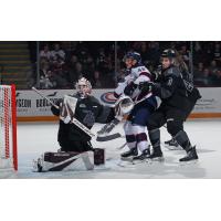 Peterborough Petes' Liam Sztuska and Cam Gauvreau versus Saginaw Spirit's Alex Christopoulos