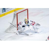 Springfield Thunderbirds goaltender Colten Ellis