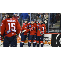 South Carolina Stingrays celebrate a goal