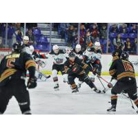 Kelowna Rockets take on the Vancouver Giants