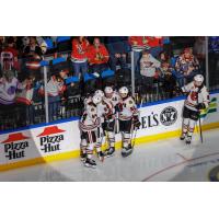 Rockford IceHogs celebrate a goal