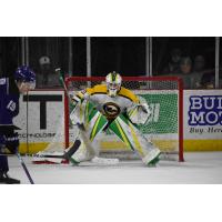 Sioux City Musketeers goaltender Samuel Urban