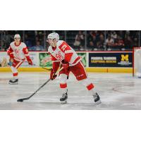 Grand Rapids Griffins defenseman Brogan Rafferty