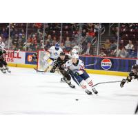 Springfield Thunderbirds chase down the puck against the Hershey Bears