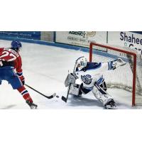 Goaltender Aiden Wright with the New Hampshire Mountain Kings